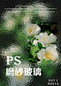 自学ps｜第1️⃣ 天✨磨砂玻璃效果✨