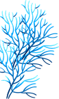 PNG透明元素 海草海底植物珊瑚图片珊瑚礁PNG模板