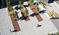 MS_AltaLaguna-07.jpg