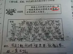 一小孩考试得0分，看看卷子上都写了啥？最后一个笑得腹肌痛-北京时间