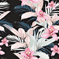pink orchids exotic ficus and tropical leaves