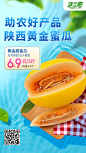 黄金蜜瓜