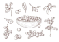 Set of engraving monochrome drawings of cranberry Free Vector