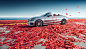 Mercedes-Benz C-Class Convertible Brochure & Campaign