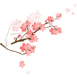 唯美水彩水墨 富士山樱花手绘樱花浪漫粉色PNG免抠透明设计素材