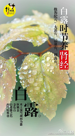 墨子巨采集到运营专题