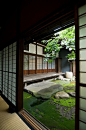 #庭院#