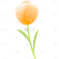 植物通用弥散风郁金香花朵元素素材