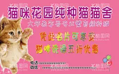 宠物店名片  - 源文件下载【酷图网】宠物医生名片,宠物生活馆,宠物诊所名片,宠物店名片,宠物寄养卡,宠物代金卡,宠物店优惠卡,宠物优惠卡,动物园名片,宠物店卡,宠物美容名片,宠物积分卡,宠物储值卡,宠物名片,宠物医院名片,宠物领养卡,宠物店会员卡,宠物,