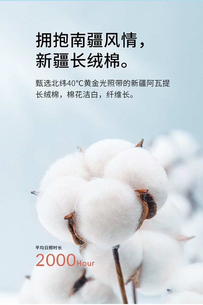 妙睡宝新疆棉花被子被芯四季通用春秋被手工...