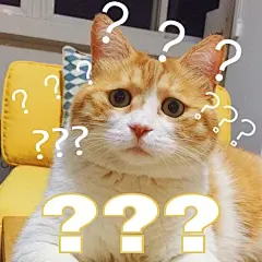 表情包