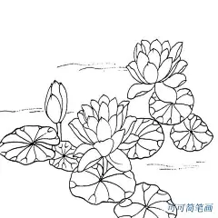 点击查看源网页