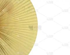 老式折纸扇左孤立