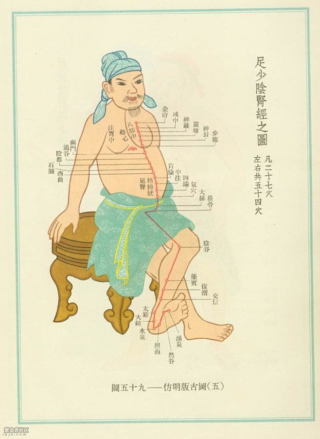 《人体经穴图谱》人体经络循行图 - 太阳...