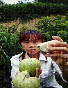 节能骚年采集到gif