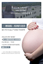 花姐马来西亚进口一盏一码30克溯源干燕窝大燕盏备孕产妇滋补正品-tmall.com天猫