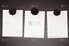 写着松果的新年贺卡