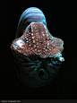 trynottodrown:

Nautilus |  by Rudolf Wohland


