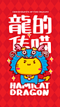 哈咪猫龙11
