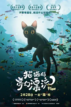 动漫电影海报-猫猫的奇幻漂流