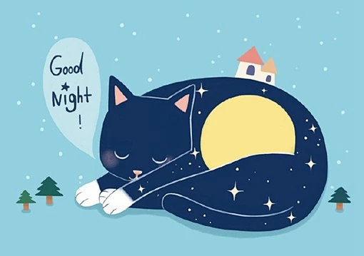 猫咪和你道晚安的温馨可爱的动物插画-花瓣网