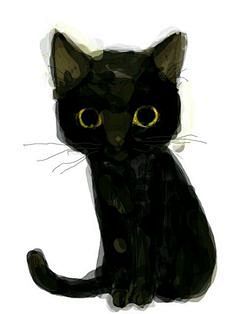 Darling black cat.