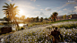 Assassin's Creed: Origins, Joel Pelletant : Assassin's Creed Origins is an action-adventure video game developed by Ubisoft Montreal and published by Ubisoft. It is the tenth major installment in the Assassin's Creed series and the successor to 2015's Ass
