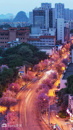 Shirley旖采集到风景