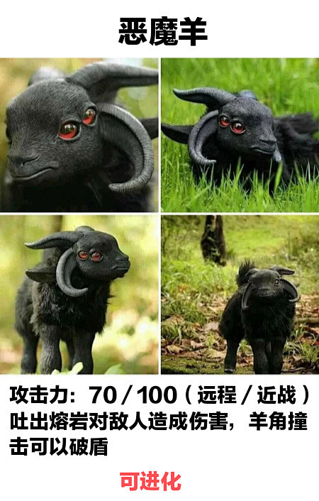 点个关注吧！ (216)