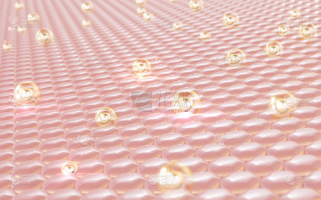 3D渲染表皮层微观结构。