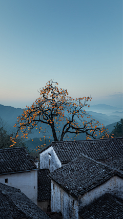 与月折梨花采集到风景