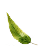 水彩羽毛 彩色羽毛 素材 羽毛 花羽 唯美羽毛 水彩素材 手绘素材 飘落 #彩色羽毛# #羽毛PNG# #羽毛# #素材# #PNG素材# #装饰素材# #水彩元素# #设计素材# #点技能# #dianjineng.la# 更多素材尽在【点技能】