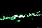 绿色光源黑色背景虚化光点高清光斑背景模板背景图片