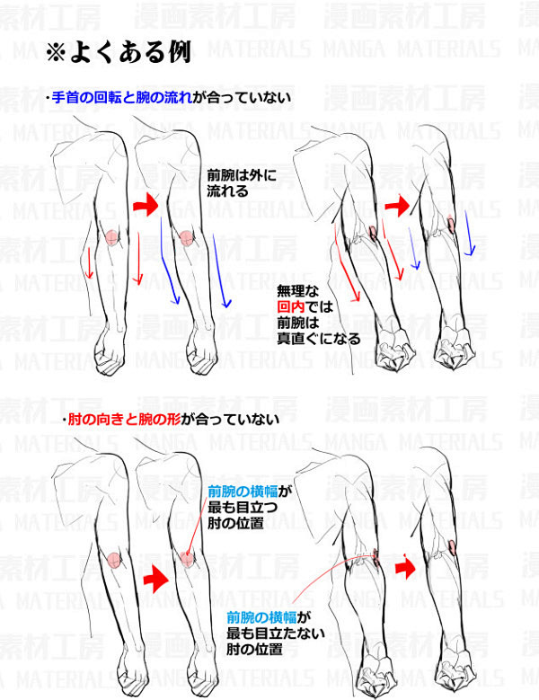 「腕の回転：回内と回外の筋肉変化と肘関節...