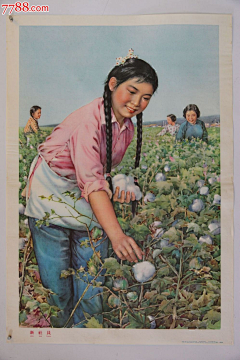 海狸先生2采集到宣传画