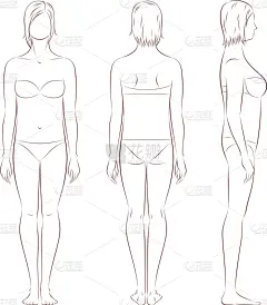 女性,比例,肚子,模板,女人,头发,草图,男士内裤,女孩,剪影