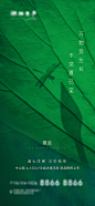 【源文件下载】 海报 房地产 夏至 二十四节气 蜻蜓   荷叶