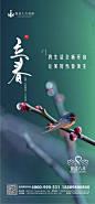 立春