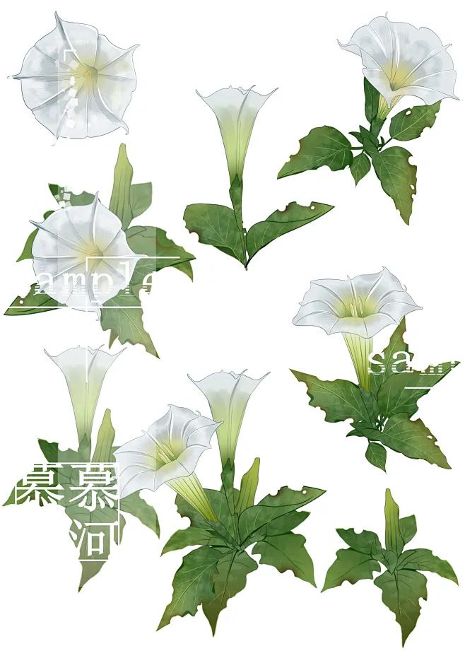 曼陀罗花 - 优动漫 动漫创作支援平台-花瓣网