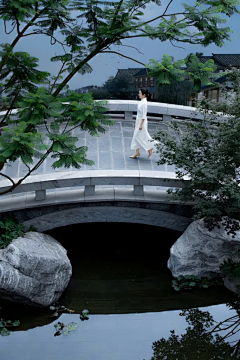 ——N采集到B地产类—景观桥