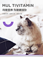 卫仕咿多维猫用复合维生素片幼猫美毛200片粉营养品猫藓维生素b-tmall.com天猫