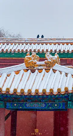 人生照片｜故宫雪景，你们要的手机壁纸来啦❄️ - 小红书