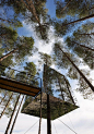 Tree House Hotel in Sweden