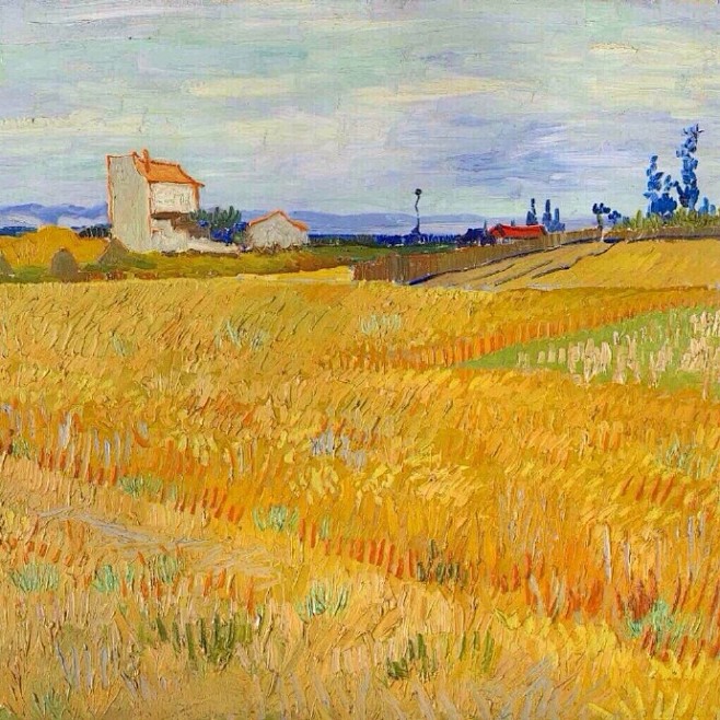 【 金色的田野 】梵高/绘