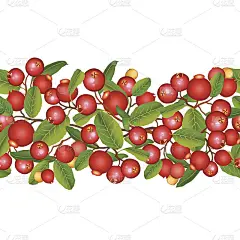 蔓越莓无缝的边界