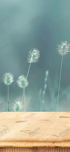 手机壁纸 【酷图网】手机壁纸,卡通壁画,手绘卡通封面,唯美壁画,漫画手绘,创意装饰画,客厅壁画,漫画插画,日记本封面,北欧挂画,手绘素材,可爱装饰画,创意插画,欧式装饰画,儿童房挂画,手绘元素,漫画素材,水彩画,可爱漫画,大自然油画