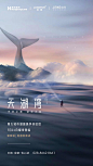 知识星球：地产重案
