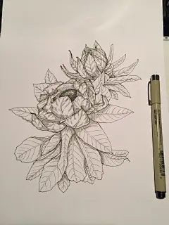 手绘，包装设计，创新设计，传统手绘，白描，五石设计，五石，面膜设计，产品设计， 工业设计，产品设计，普象网