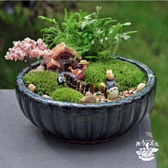 ℡阿东采集到植物素材