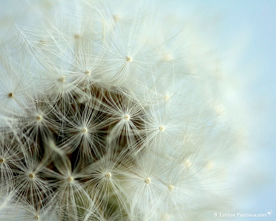 Nursery Photography ...